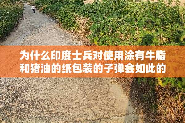 为什么印度士兵对使用涂有牛脂和猪油的纸包装的**会如此的愤怒？