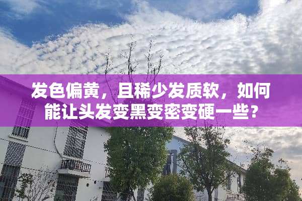 发色偏黄，且稀少发质软，如何能让头发变黑变密变硬一些？