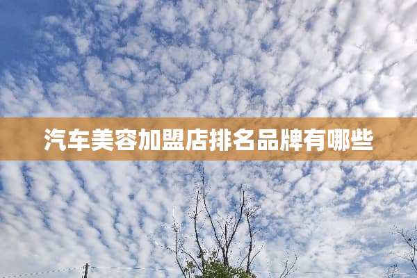 汽车美容加盟店排名品牌有哪些