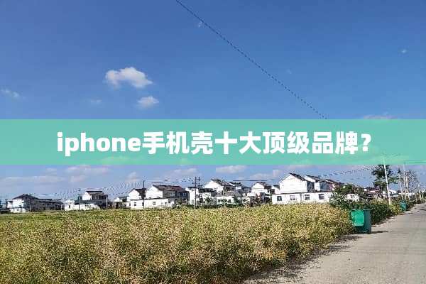 iphone手机壳十大**品牌？