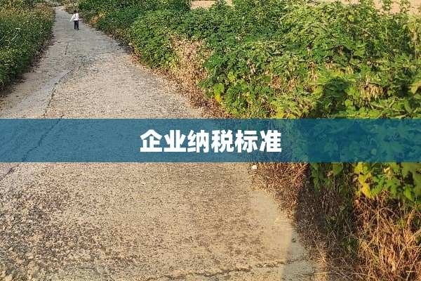 企业纳税标准