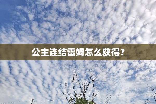 公主连结雷姆怎么获得？