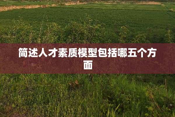 简述人才素质模型包括哪五个方面