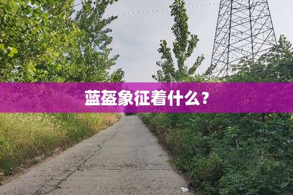 蓝盔象征着什么？