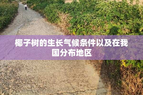 椰子树的生长气候条件以及在我国分布地区