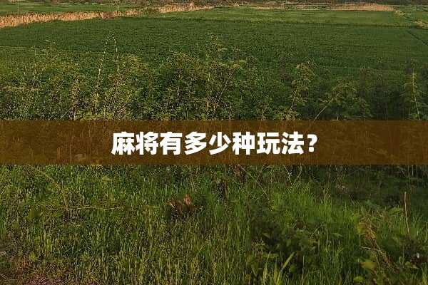 **有多少种玩法？