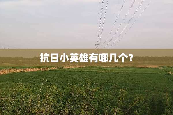 **小英雄有哪几个？