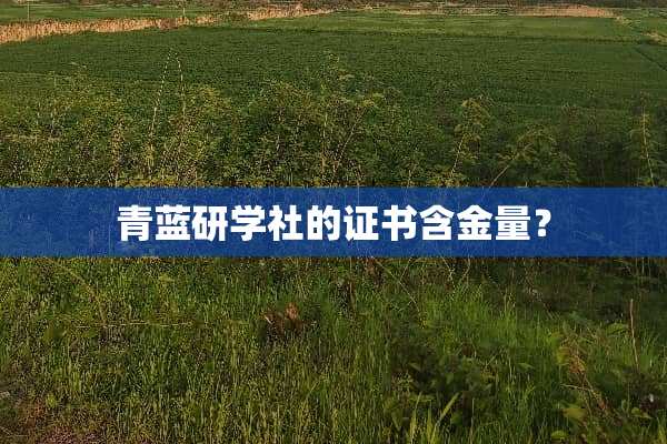 青蓝研学社的证书含金量？