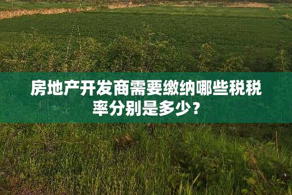 房地产开发商需要缴纳哪些税税率分别是多少？