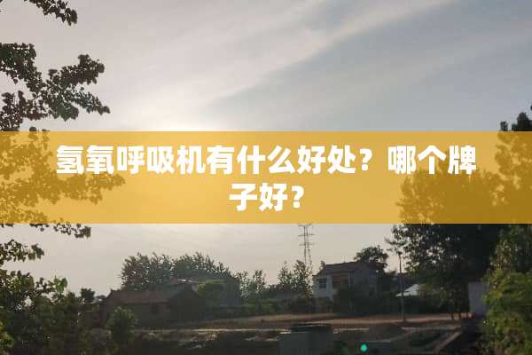 氢氧呼吸机有什么好处？哪个牌子好？