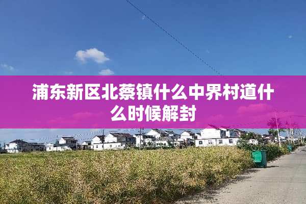 浦东新区北蔡镇什么中界村道什么时候解封