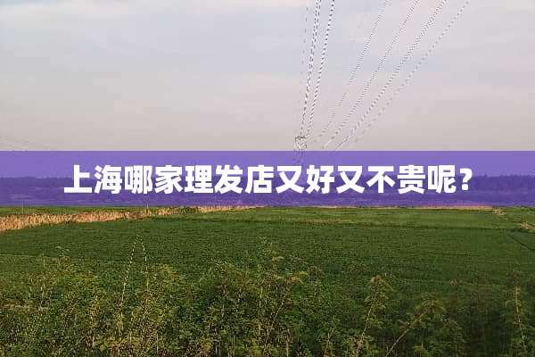上海哪家理发店又好又不贵呢？