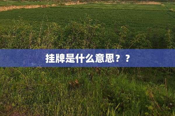 挂牌是什么意思？？