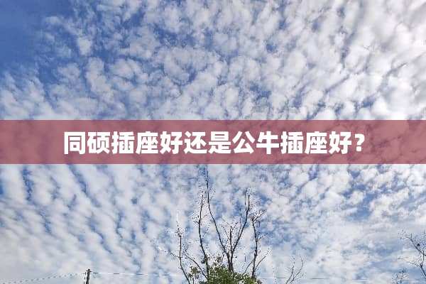 同硕插座好还是公牛插座好？