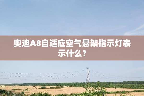 奥迪A8自适应空气悬架指示灯表示什么？