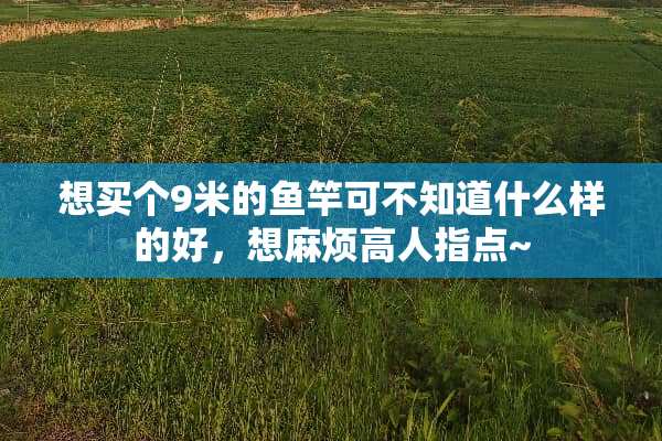 想买个9米的鱼竿可不知道什么样的好，想麻烦高人指点~
