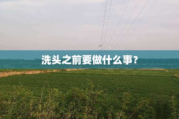洗头之前要做什么事？