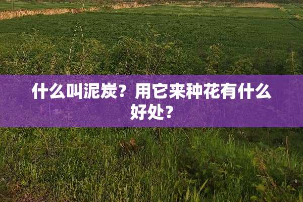 什么叫泥炭？用它来种花有什么好处？