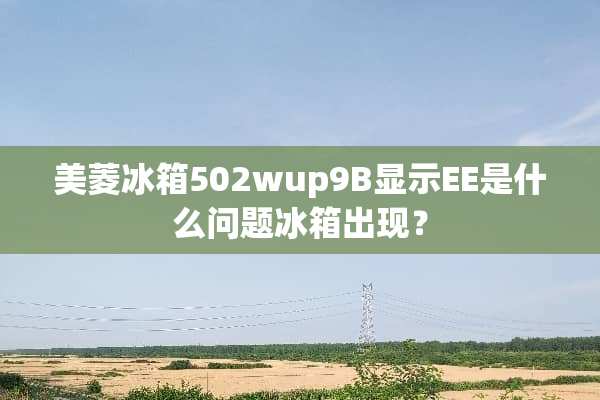 美菱冰箱502wup9B显示EE是什么问题冰箱出现？