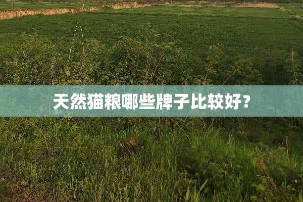天然猫粮哪些牌子比较好？
