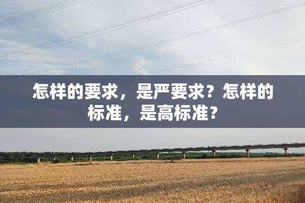 怎样的要求，是严要求？怎样的标准，是高标准？