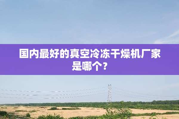 国内最好的真空冷冻干燥机厂家是哪个？