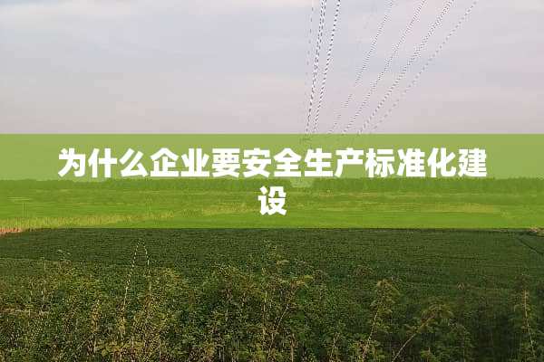 为什么企业要安全生产标准化建设