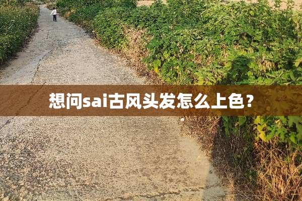 想问sai古风头发怎么上色？