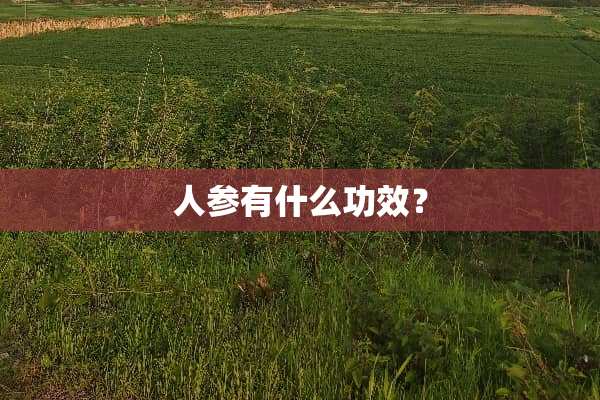 人参有什么功效？