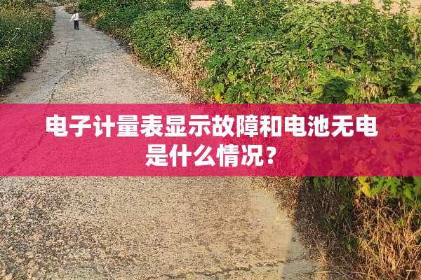 电子计量表显示故障和电池无电是什么情况？