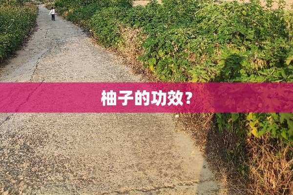 柚子的功效？
