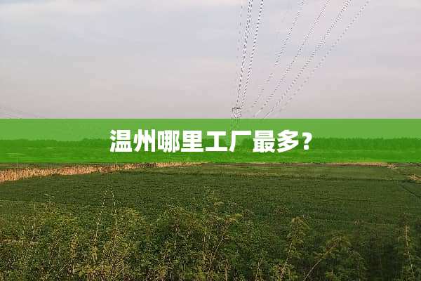 温州哪里工厂最多？