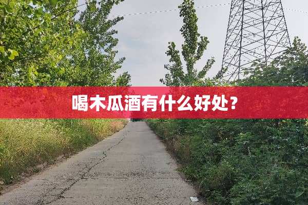喝木瓜酒有什么好处？