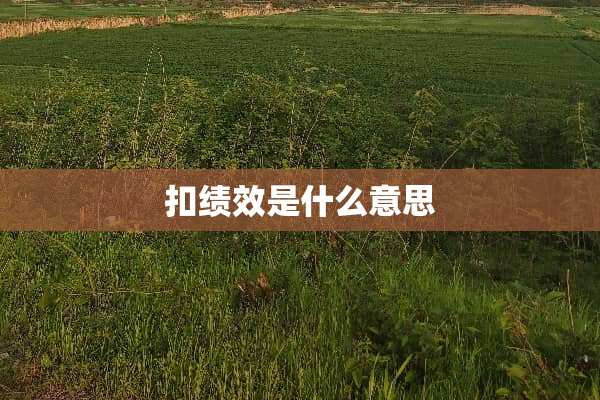 扣绩效是什么意思
