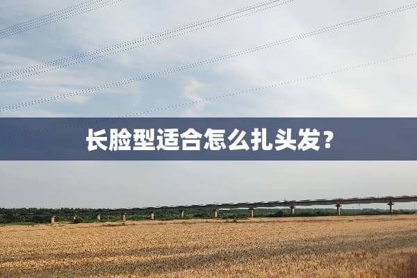 长脸型适合怎么扎头发？