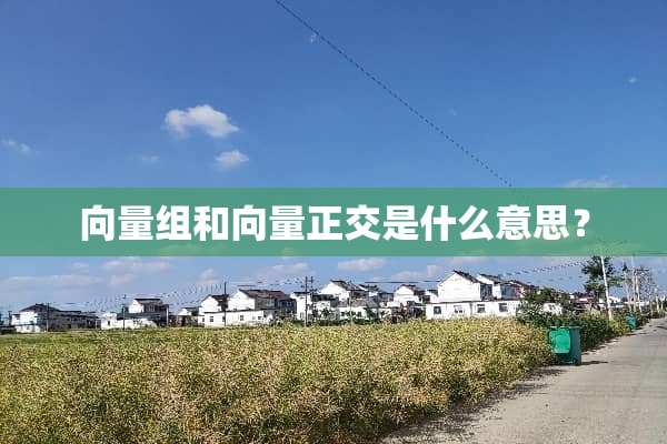 向量组和向量正交是什么意思？