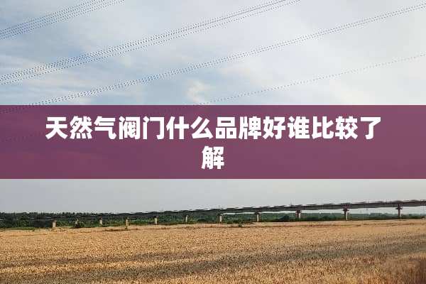 天然气阀门什么品牌好谁比较了解