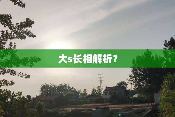 大s长相解析？