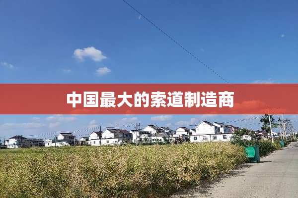 中国最大的索道制造商