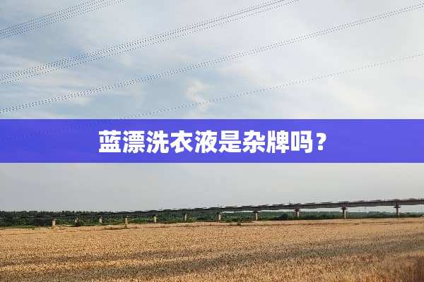 蓝漂洗衣液是杂牌吗？