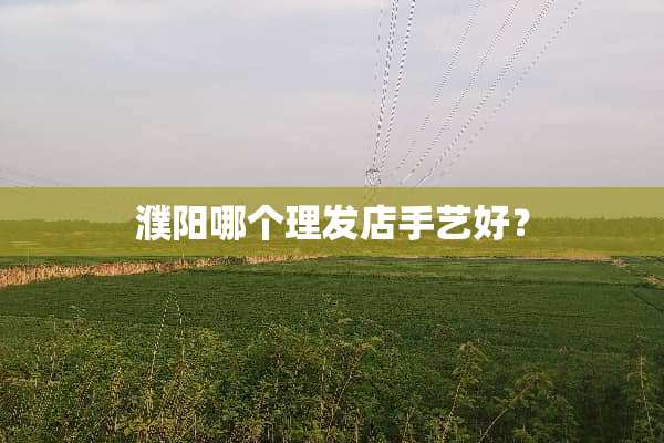 濮阳哪个理发店手艺好？