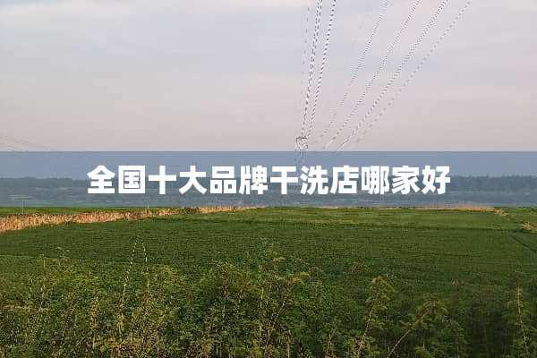 全国十大品牌干洗店哪家好
