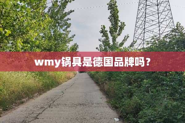wmy锅具是德国品牌吗？