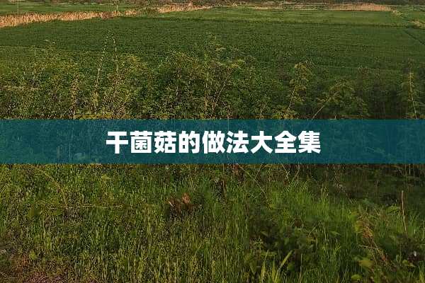 干菌菇的做法大全集