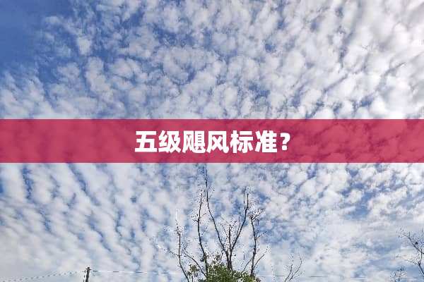 五级飓风标准？