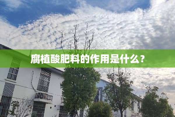 腐植酸肥料的作用是什么？
