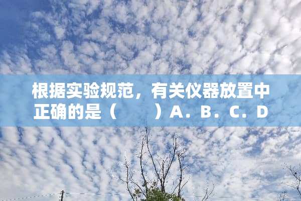 根据实验规范，有关仪器放置中正确的是（　　）A．B．C．D
