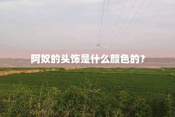 阿奴的头饰是什么颜色的？