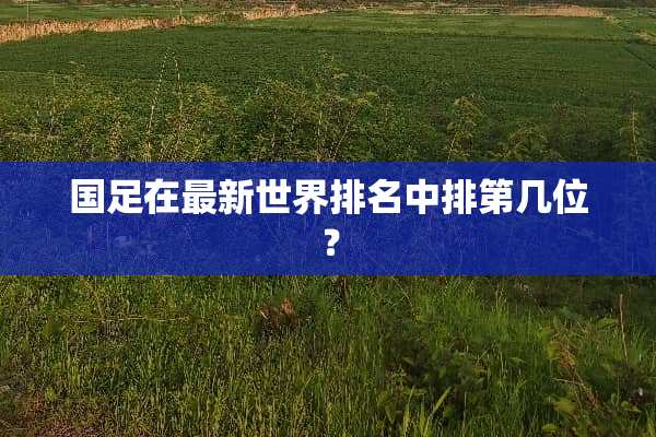 国足在最新世界排名中排第几位？