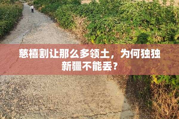 慈禧割让那么多领土，为何独独新疆不能丢？